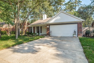 11 S Elm Branch Place, Spring, TX 77380