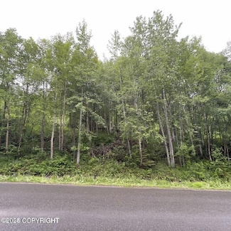 L 12 White Spruce Dr, Anchorage, AK 99577