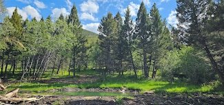 TBD Hall Creek Tract, Helmville, MT 59843