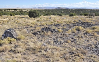 8Z Concho Creek Dr, Concho, AZ 85924
