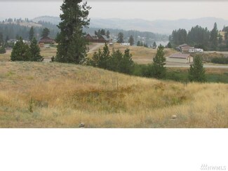 126 Curlew Dr, Republic, WA 99166