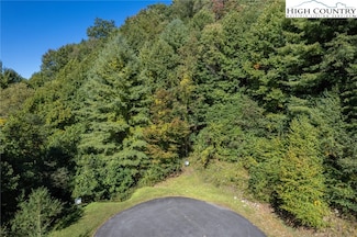 45 Silver Springs Dr, Banner Elk, NC 28604