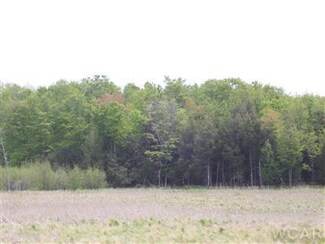 0 S Deer Lake Rd, Reed City, MI 49677