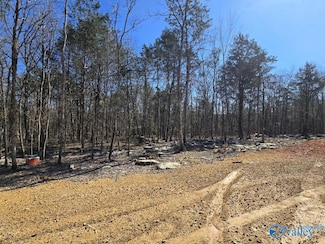 162 Parnell Cir, Woodville, AL 35776