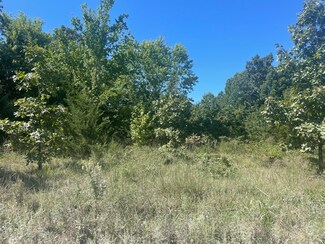 000 Farm Road 2085, Jenkins, MO 65605
