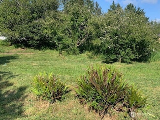 0 Ash Place, Ocean Park, WA 98640