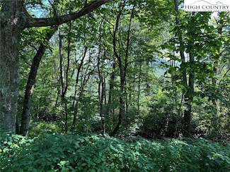 TBD Camden Ln, Blowing Rock, NC 28605