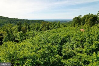 1 Jenkins Ln, Bluemont, VA 20135