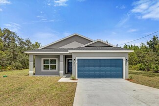 33 Malauka Ln, Ocklawaha, FL 32179