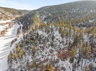 Lot 4 Crook Mountain Rd, Whitewood, SD 57793