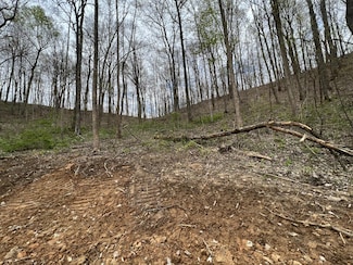 Lot #23 Laredo Dr, London, KY 40744