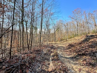 83 Farris Ln, Fayetteville, WV 25840