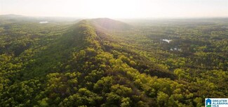 DOUBLE OAK MTN County Road 480 Unit 271 COUNTY ROAD 480, Vandiver, AL 35176