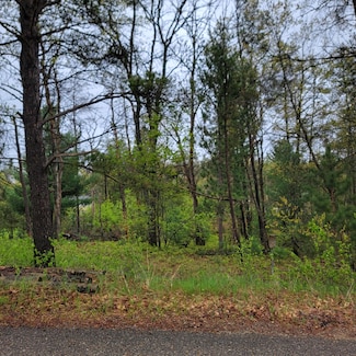 000 Sutherby Rd, St. Helen, MI 48656