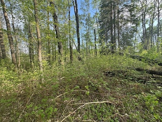 2045 County 47 NE, Longville, MN 56655