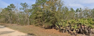 0 Union Ave Unit MFRO6211994, Interlachen, FL 32148