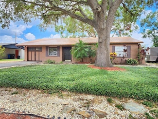 3304 Alamar St, Lutz, FL 33558