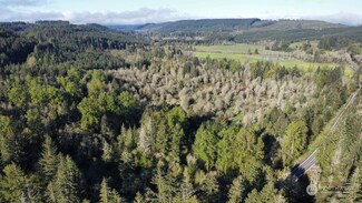 0 State Route 505 Unit NWM2234286, Toledo, WA 98591