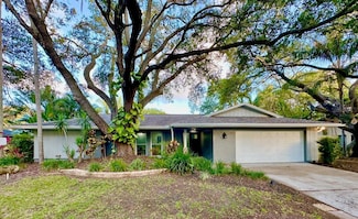 939 Woodland Dr, Palm Harbor, FL 34683
