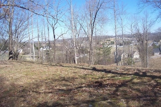 Lot 5 Sandpiper Ct, Kodak, TN 37764