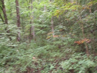 0 Db 702 Dp 418 Prater Creek Unit 125251, Hueysville, KY 41640