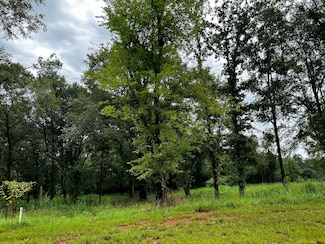 0 Old Prattville Rd, Millbrook, AL 36054