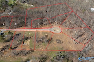 Lot 6 County Road 825, Scottsboro, AL 35768