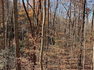 74J Ash Branch Cir, Hayesville, NC 28904