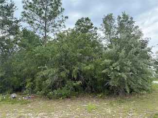 TBA SW 138th Ln, Ocala, FL 34473