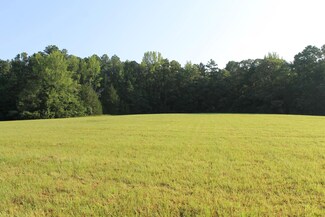 TRACT 3 Lick Creek Rd, Michie, TN 38357