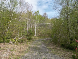 Lot 9 West Rd, Springfield, ME 04487