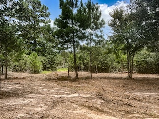 13553 County Road 446, Navasota, TX 77868