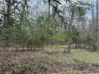 0 Long Branch Rd, Beattyville, KY 41311