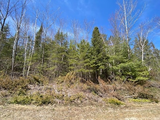 Lot 254 Pineview Dr, Presque Isle, MI 49777