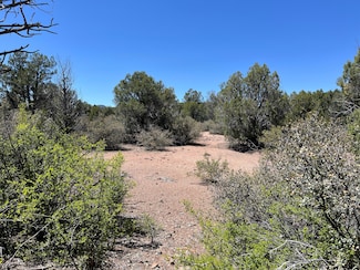 243 E Badger Ridge Rd, Kingman, AZ 86401