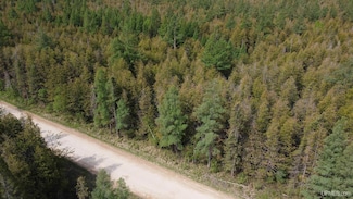 0 Vega Road O 1, Hermansville, MI 49847