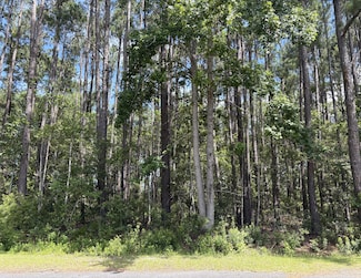 110 State Road S-15-586, Walterboro, SC 29488