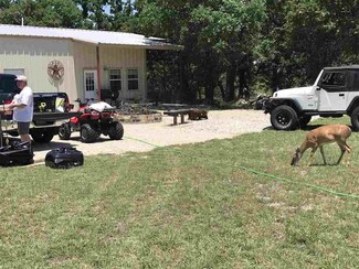 1096 Hoefle Rd, Jacksboro, TX 76458