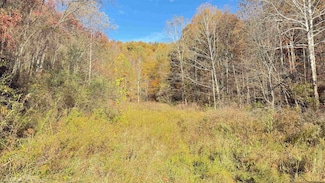 TBD Tenmile Rd, Wallace, WV 26448
