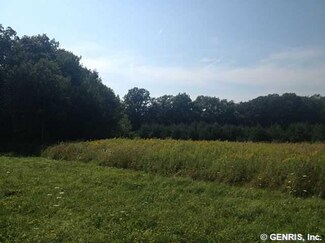 0 Bossard Rd Unit R258983, Barrington, NY 14837