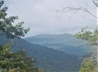 3995 Conley's Creek Rd, Whittier, NC 28789