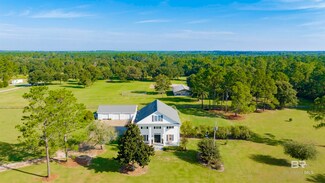 17501 Francis Harrell Rd, Elberta, AL 36530