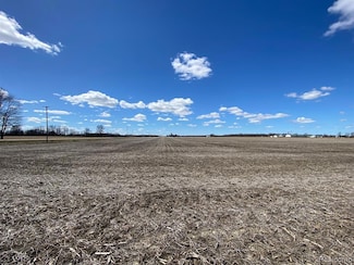 000 Dryden Rd, Almont, MI 48003