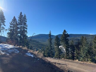 7251.1 Timber Trail Rd, Shadow Mountain, CO 80439
