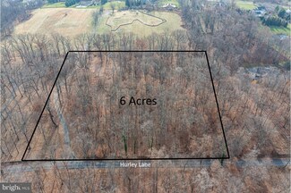 16519 Mountain Crest Ln, Paeonian Springs, VA 20129