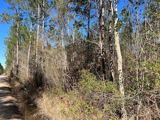 Tract 4 County-Line Rd S, Jesup, GA 31545