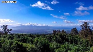 762 Waiakoa Rd, Kula, HI 96790