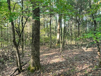 000 Redbud Ln, Forsyth, MO 65653