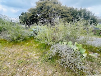 460 Peace Ave, New Braunfels, TX 78130