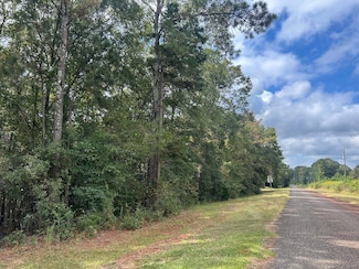 307 County Road 88, Abbeville, AL 36310